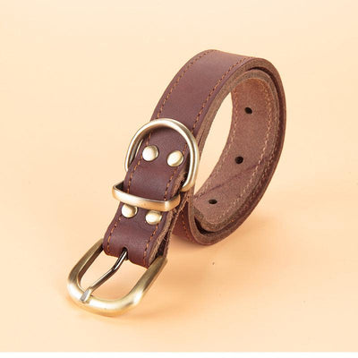 Collar Collar Leather Leather Dog Leash - LuxLovesDogs