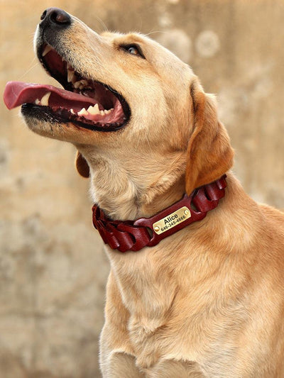 Dog Braided Leather Medium Large Dog Collar - LuxLovesDogs