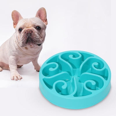 Pet Choking Prevention Dog Food Bowl Feeding Dog Food Bowl - LuxLovesDogs