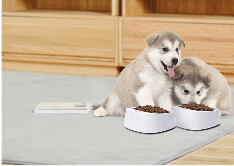 Pet weighing dog food bowl - LuxLovesDogs